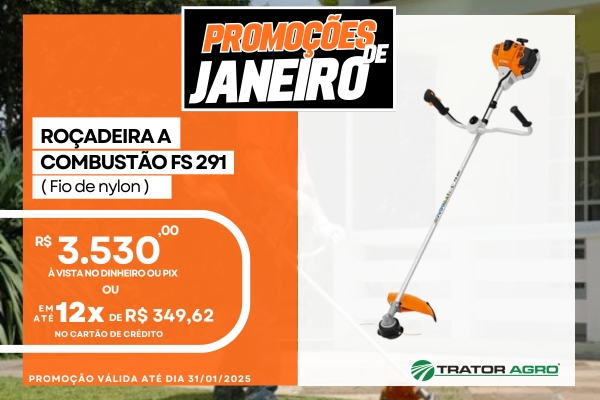 Roçadeira a combustão FS 291