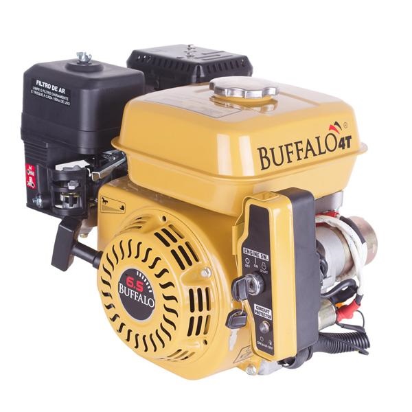 Motor Buffalo BFGE 6.5